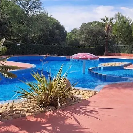 Magnifique Bois Horizon Bleu Chalet Agde